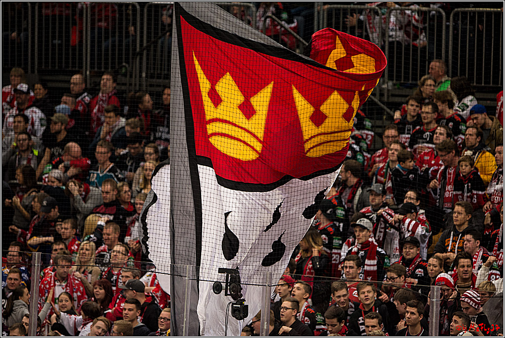 Koelner Haie - Eisbaeren Berlin, 13.11.2016